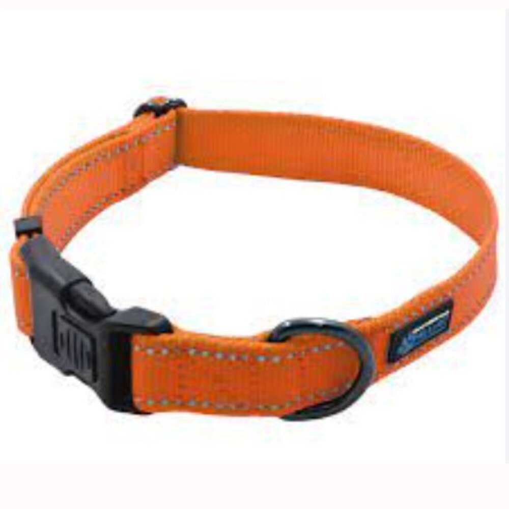 Dog Collar: Orange, NEO, Medium